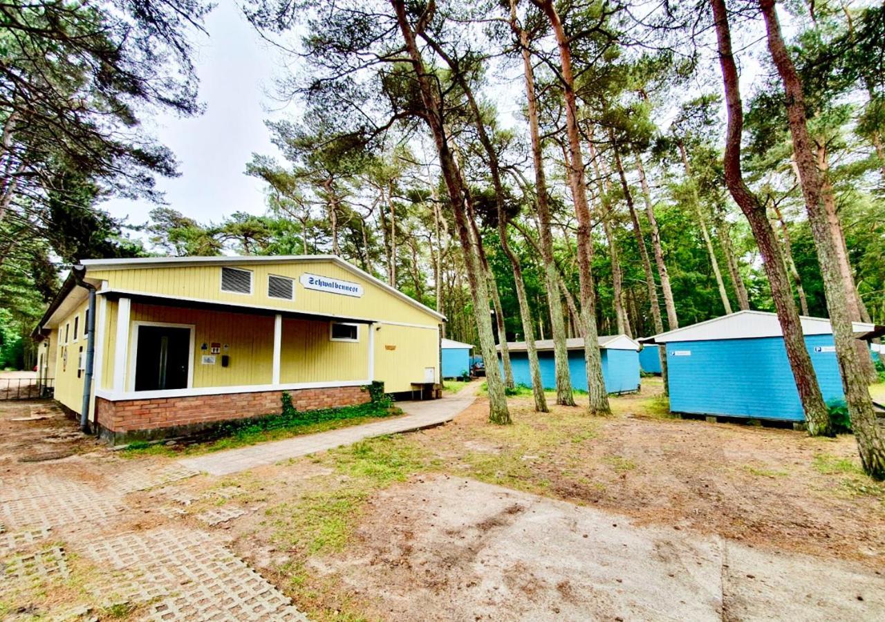 Schwalbennest Dranske